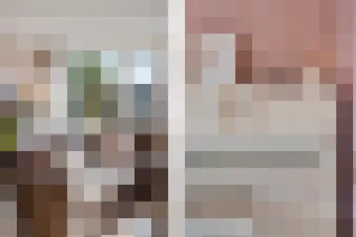 Tarnstroom 25 Zoetermeer thumbnail 12
