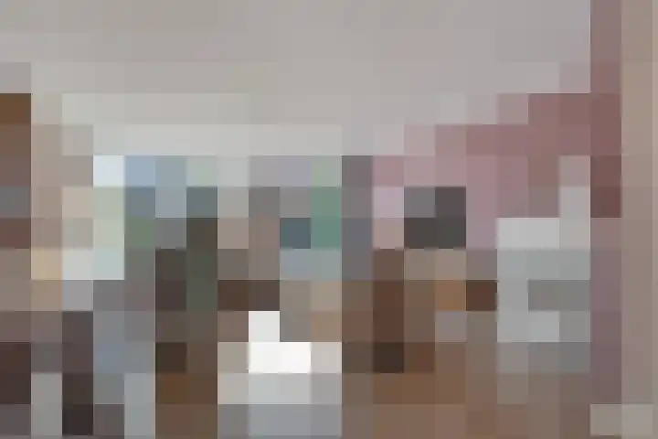 Tarnstroom 25 Zoetermeer thumbnail 13