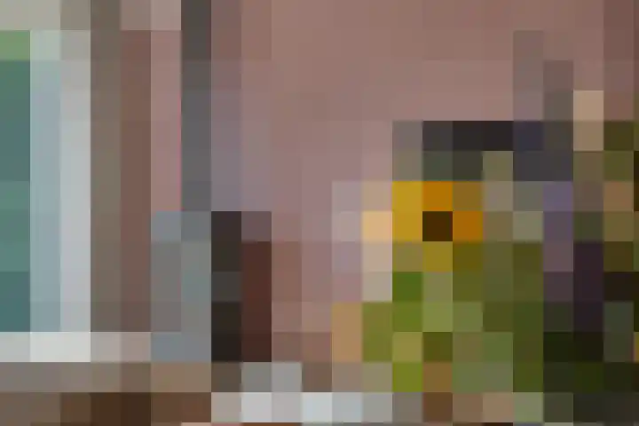 Tarnstroom 25 Zoetermeer thumbnail 14