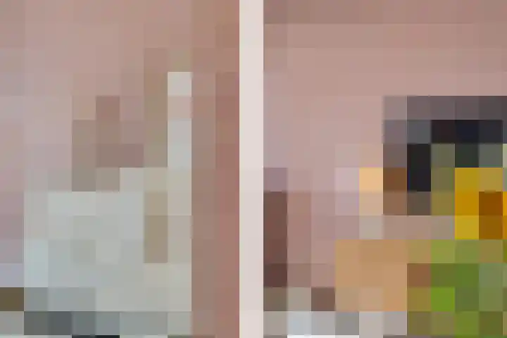 Tarnstroom 25 Zoetermeer thumbnail 15