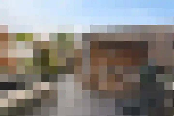 Tarnstroom 25 Zoetermeer thumbnail 17