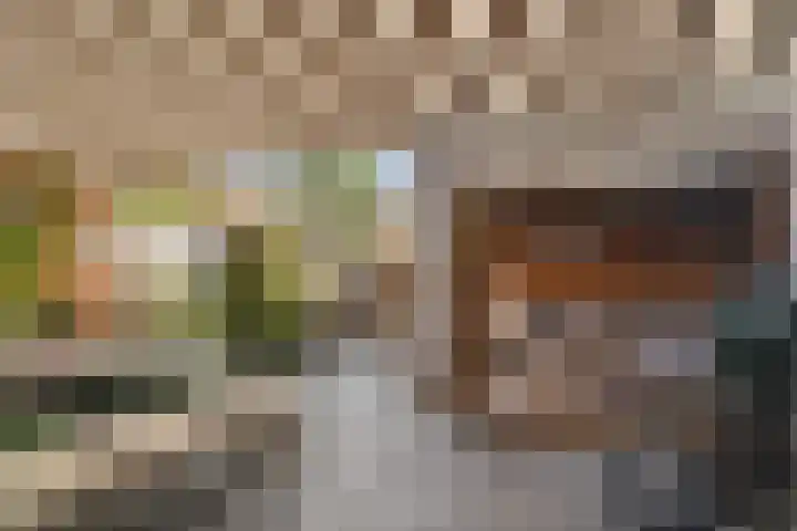 Tarnstroom 25 Zoetermeer thumbnail 18