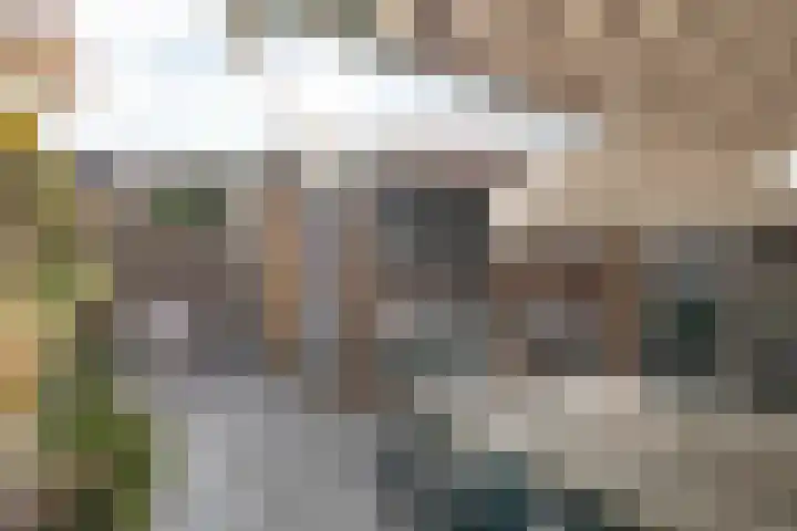 Tarnstroom 25 Zoetermeer thumbnail 19
