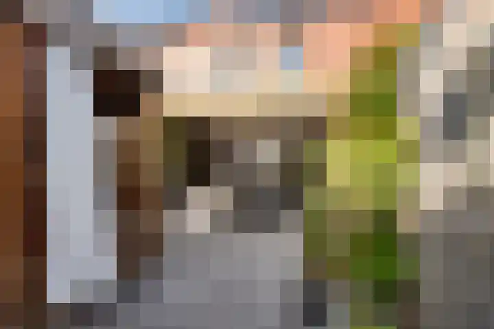 Tarnstroom 25 Zoetermeer thumbnail 20