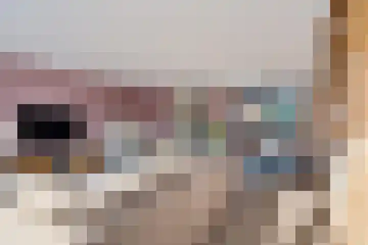 Tarnstroom 25 Zoetermeer thumbnail 23