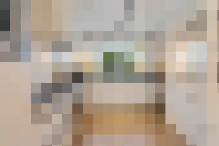 Tarnstroom 25 Zoetermeer thumbnail 25