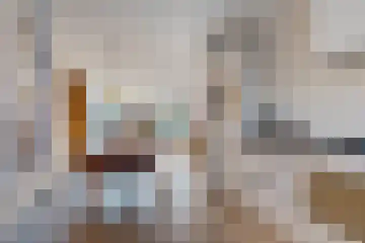 Tarnstroom 25 Zoetermeer thumbnail 28