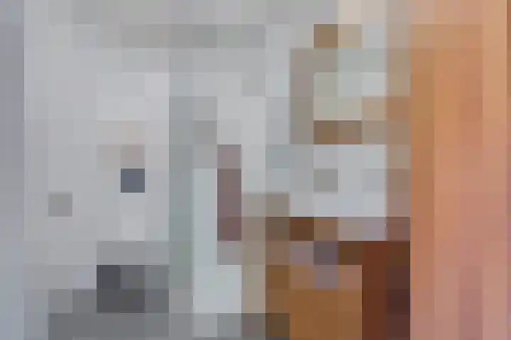 Tarnstroom 25 Zoetermeer thumbnail 33