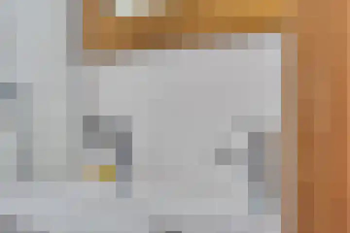 Tarnstroom 25 Zoetermeer thumbnail 34
