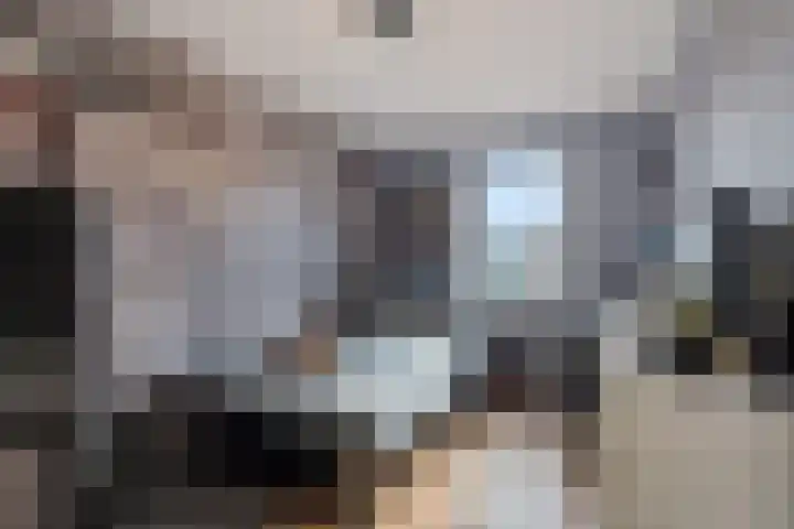 Tarnstroom 25 Zoetermeer thumbnail 37