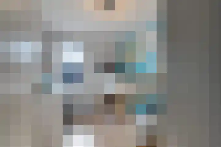 Tarnstroom 25 Zoetermeer thumbnail 39