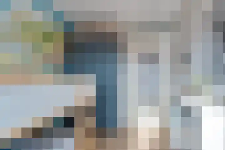 Tarnstroom 25 Zoetermeer thumbnail 40