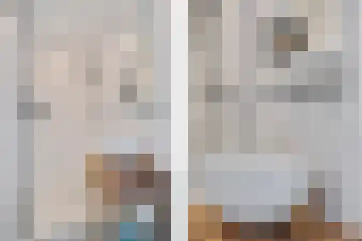Tarnstroom 25 Zoetermeer thumbnail 43