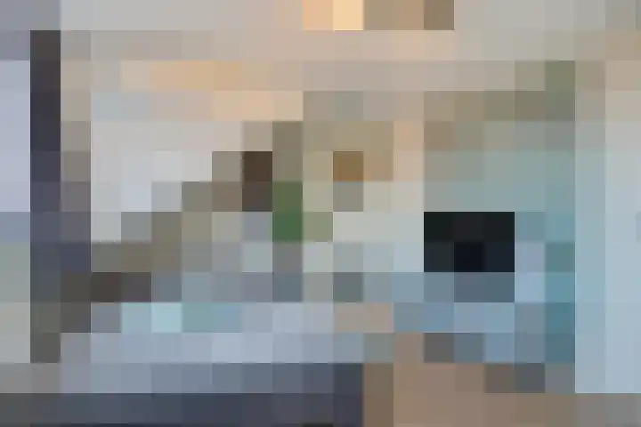 Tarnstroom 25 Zoetermeer thumbnail 45