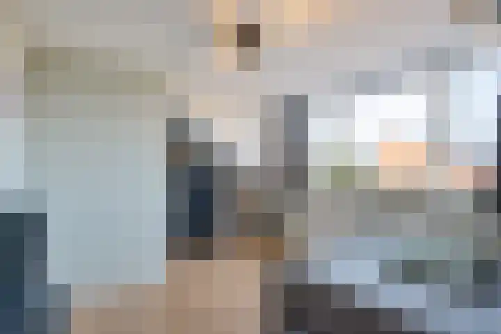 Tarnstroom 25 Zoetermeer thumbnail 46