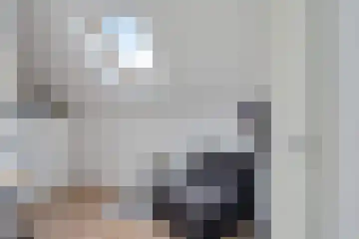 Tarnstroom 25 Zoetermeer thumbnail 47