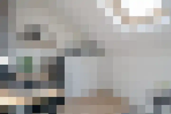 Tarnstroom 25 Zoetermeer thumbnail 48