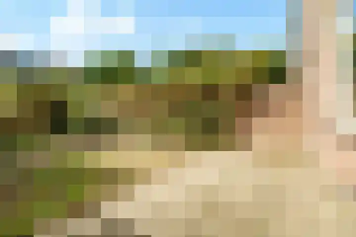 Tarthorst 112 Wageningen thumbnail 21