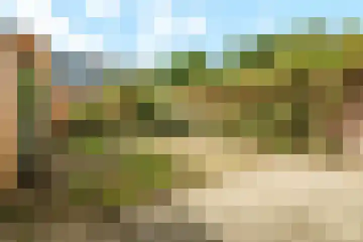 Tarthorst 112 Wageningen thumbnail 22