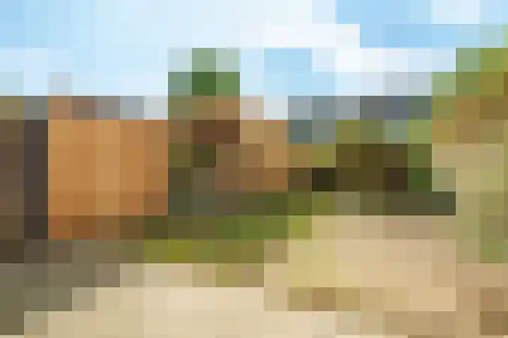 Tarthorst 112 Wageningen thumbnail 23