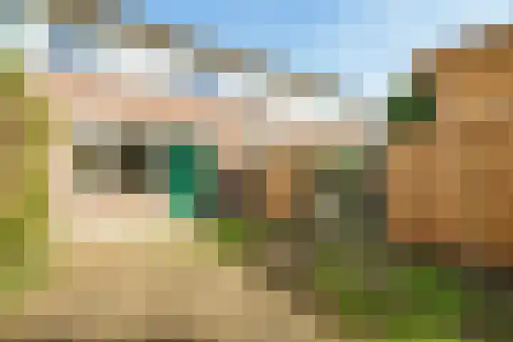Tarthorst 112 Wageningen thumbnail 24
