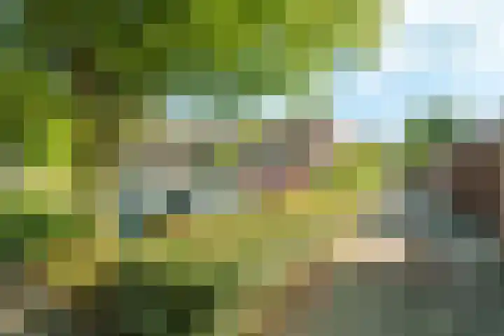 Tarthorst 112 Wageningen thumbnail 25