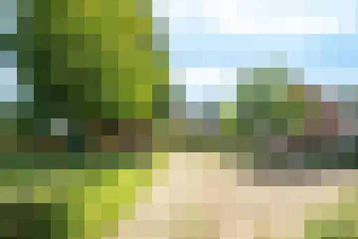 Tarthorst 112 Wageningen thumbnail 26