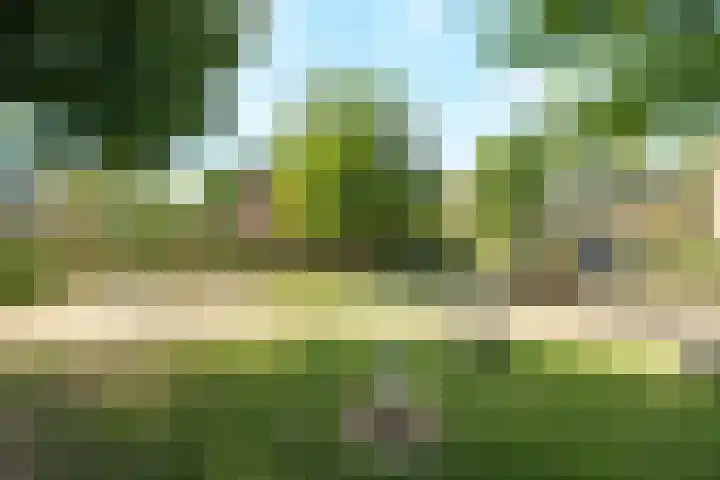 Tarthorst 112 Wageningen thumbnail 27