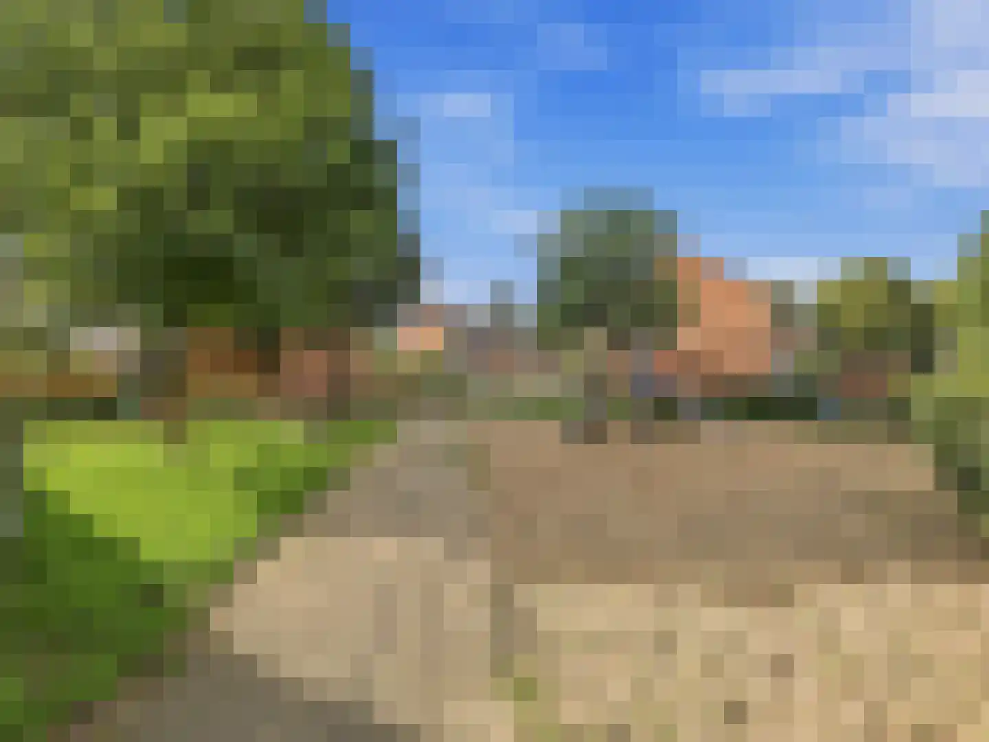 Tarthorst 138 Wageningen thumbnail 29