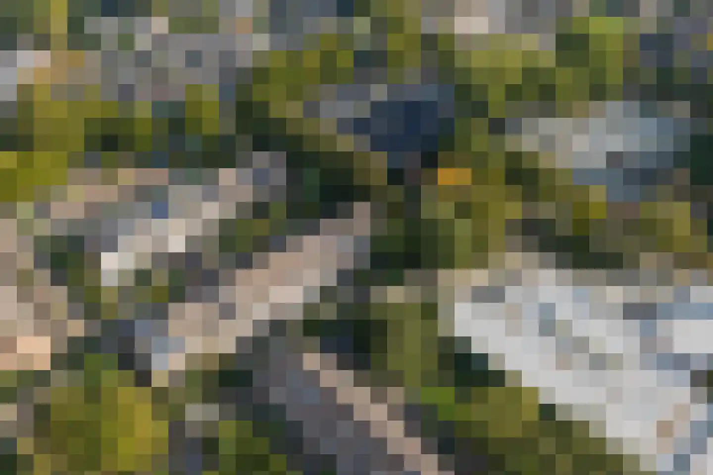Tarthorst 138 Wageningen thumbnail 33