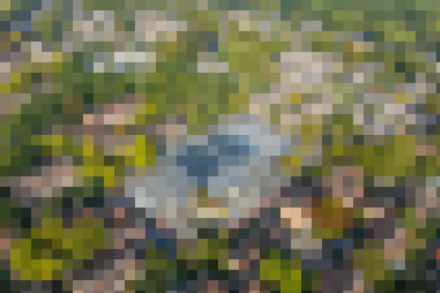 Tarthorst 138 Wageningen thumbnail 34
