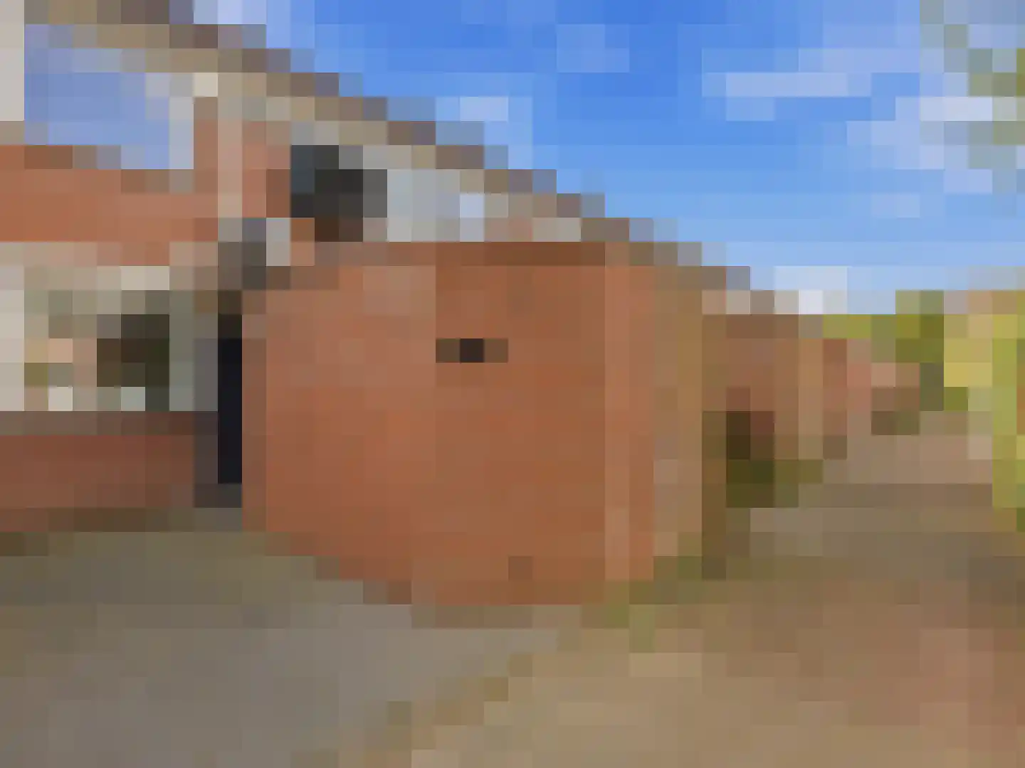 Tarthorst 138 Wageningen thumbnail 6