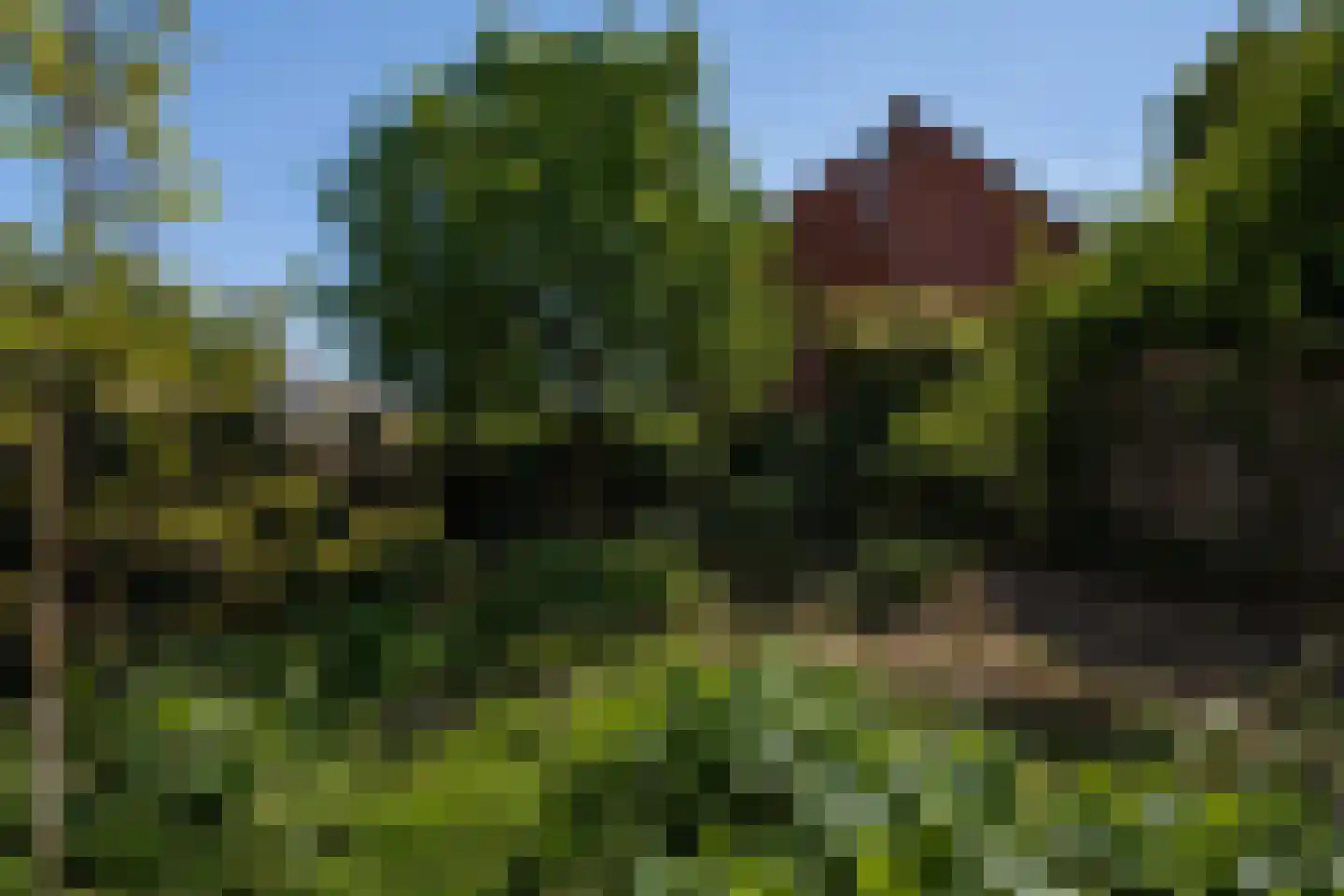 Tarthorst 162 Wageningen thumbnail 33
