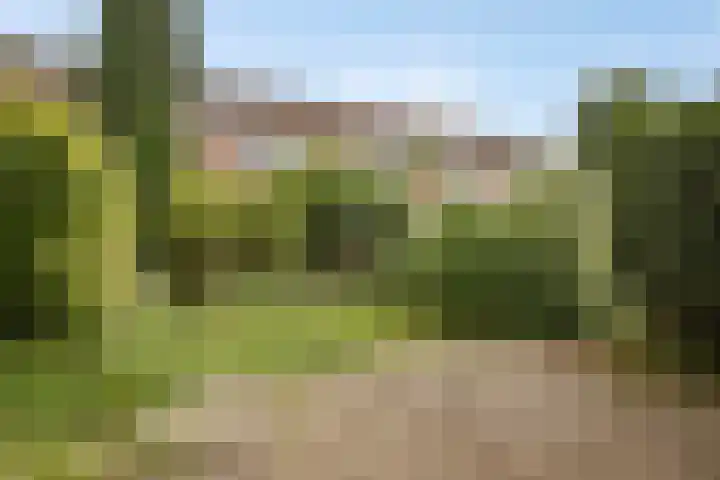 Tarthorst 236 Wageningen thumbnail 29