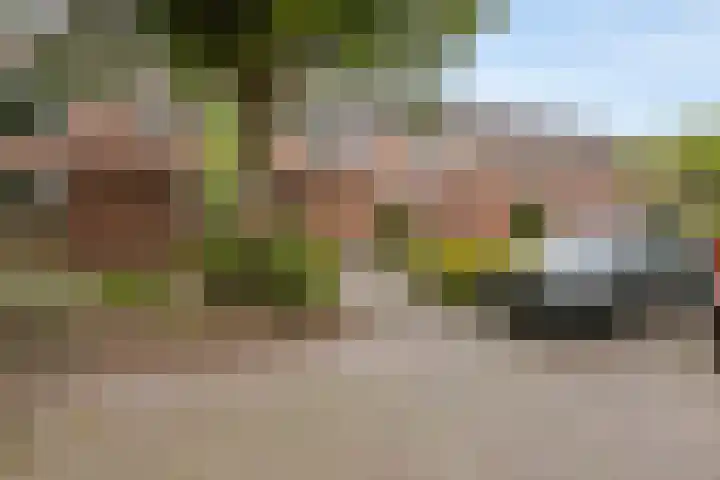 Tarthorst 236 Wageningen thumbnail 35