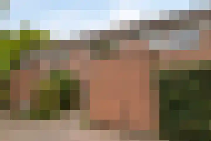 Tarthorst 236 Wageningen thumbnail 5