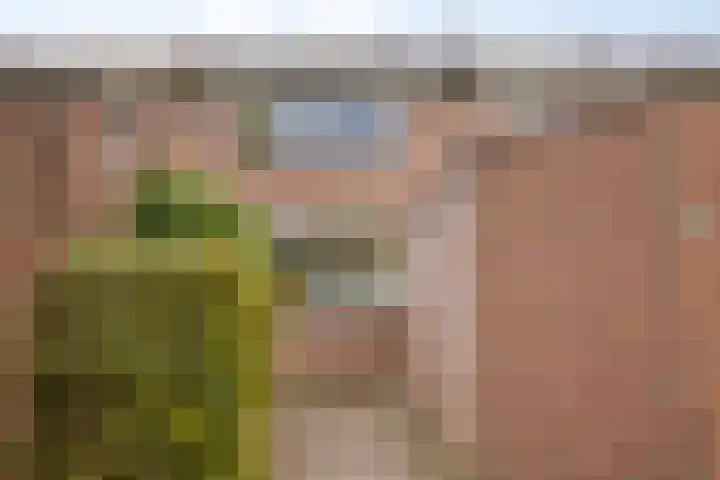 Tarthorst 236 Wageningen thumbnail 6