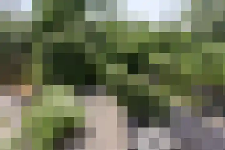 Tarthorst 309 Wageningen thumbnail 17