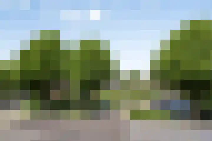 Tarthorst 309 Wageningen thumbnail 22