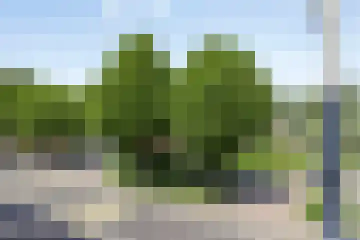 Tarthorst 309 Wageningen thumbnail 26