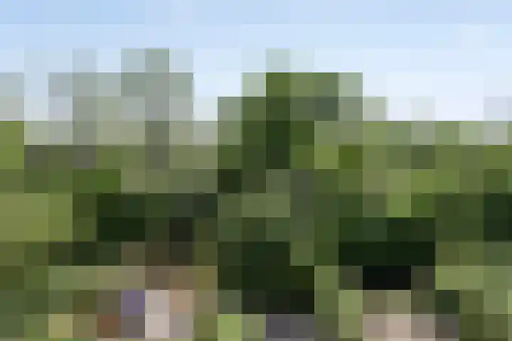 Tarthorst 309 Wageningen thumbnail 29