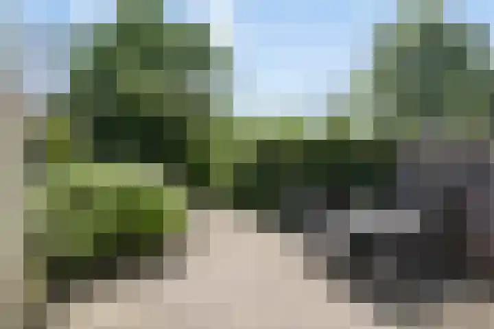 Tarthorst 309 Wageningen thumbnail 30