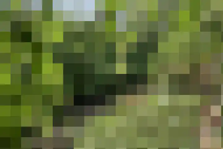 Tarthorst 309 Wageningen thumbnail 32