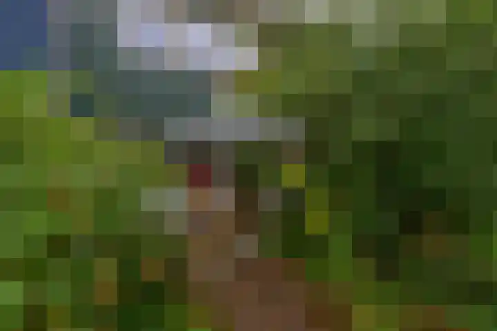 Tarthorst 461 Wageningen thumbnail 29