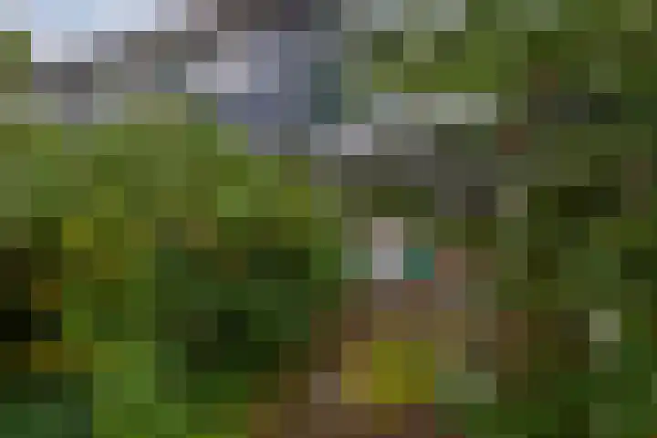 Tarthorst 461 Wageningen thumbnail 30