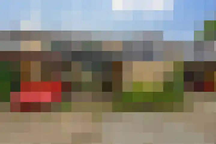 Tarthorst 461 Wageningen thumbnail 32