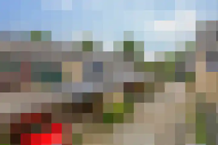 Tarthorst 461 Wageningen thumbnail 33
