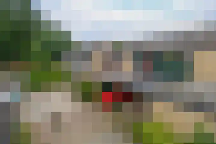 Tarthorst 461 Wageningen thumbnail 34