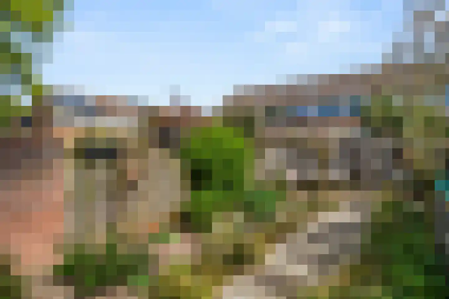 Tarthorst 52 Wageningen thumbnail 15