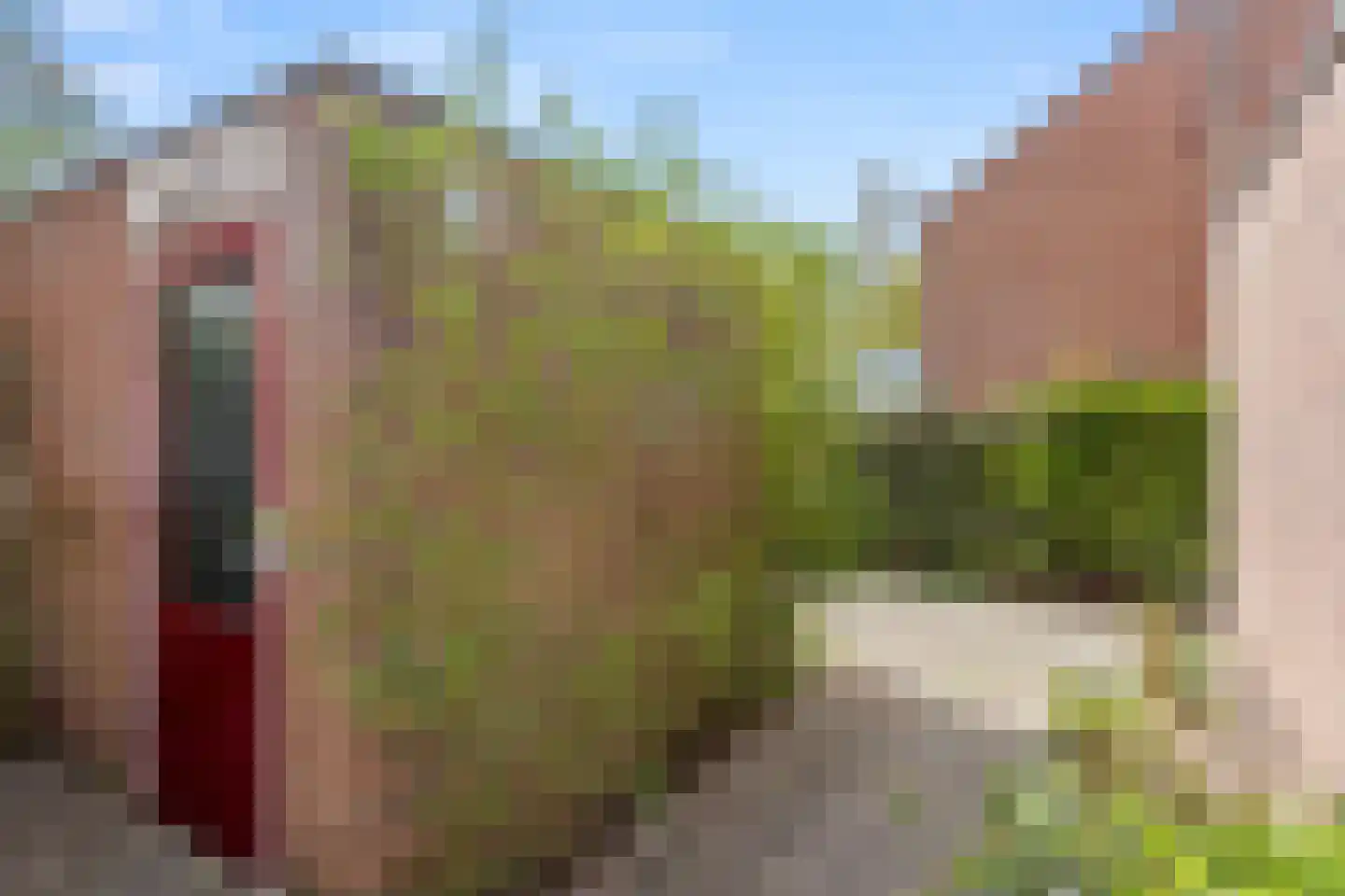 Tarthorst 52 Wageningen thumbnail 39
